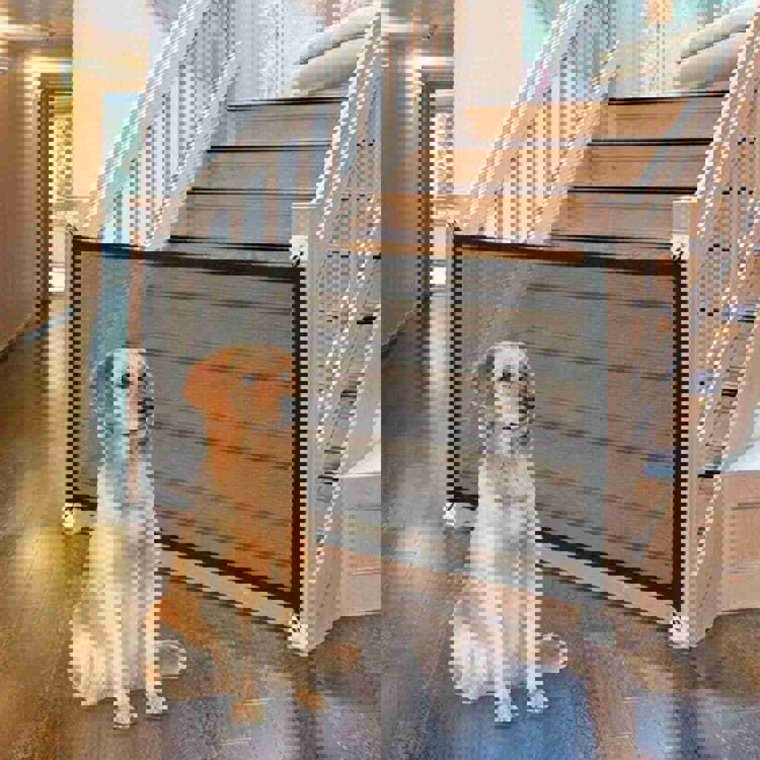 Portable Mesh Pet Safety Gate for Dogs and Cats