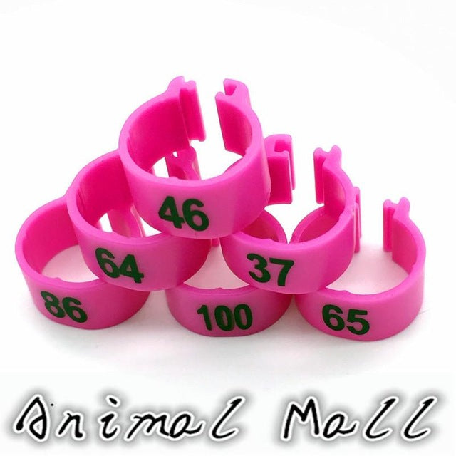100 Pcs Digital Foot Ring for Pet Birds - 10 Colors