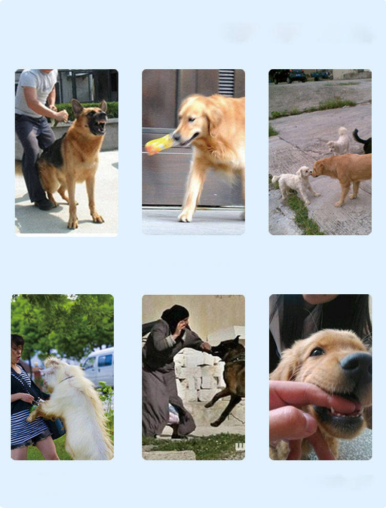 Rechargeable Remote Control Dog Training Device - Adjustable Bark Stopper Collar