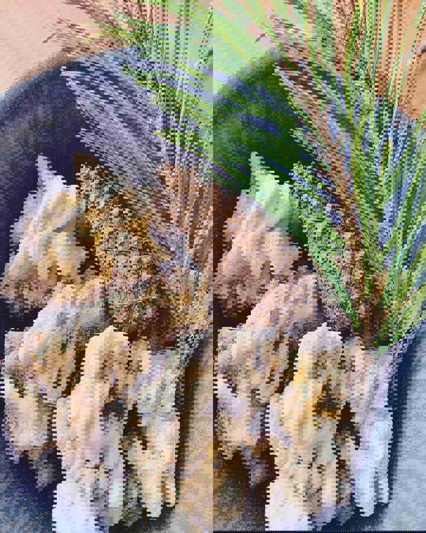 Winter Walk Balm for Restored Hope and Winter Skincare