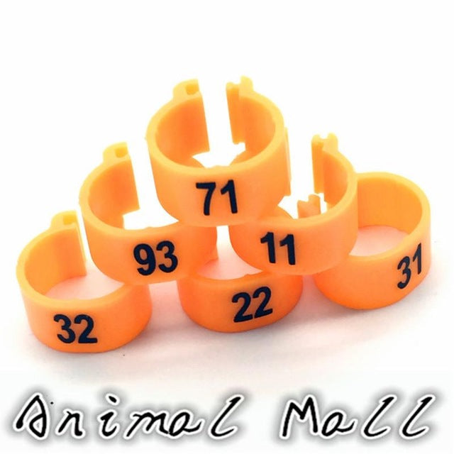 100 Pcs Digital Foot Ring for Pet Birds - 10 Colors