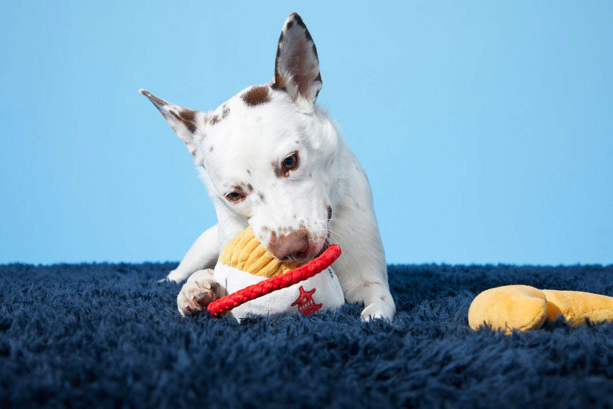 BARK Chew Mein & Fortune Cookie Dog Toy - Interactive Fun for Dogs
