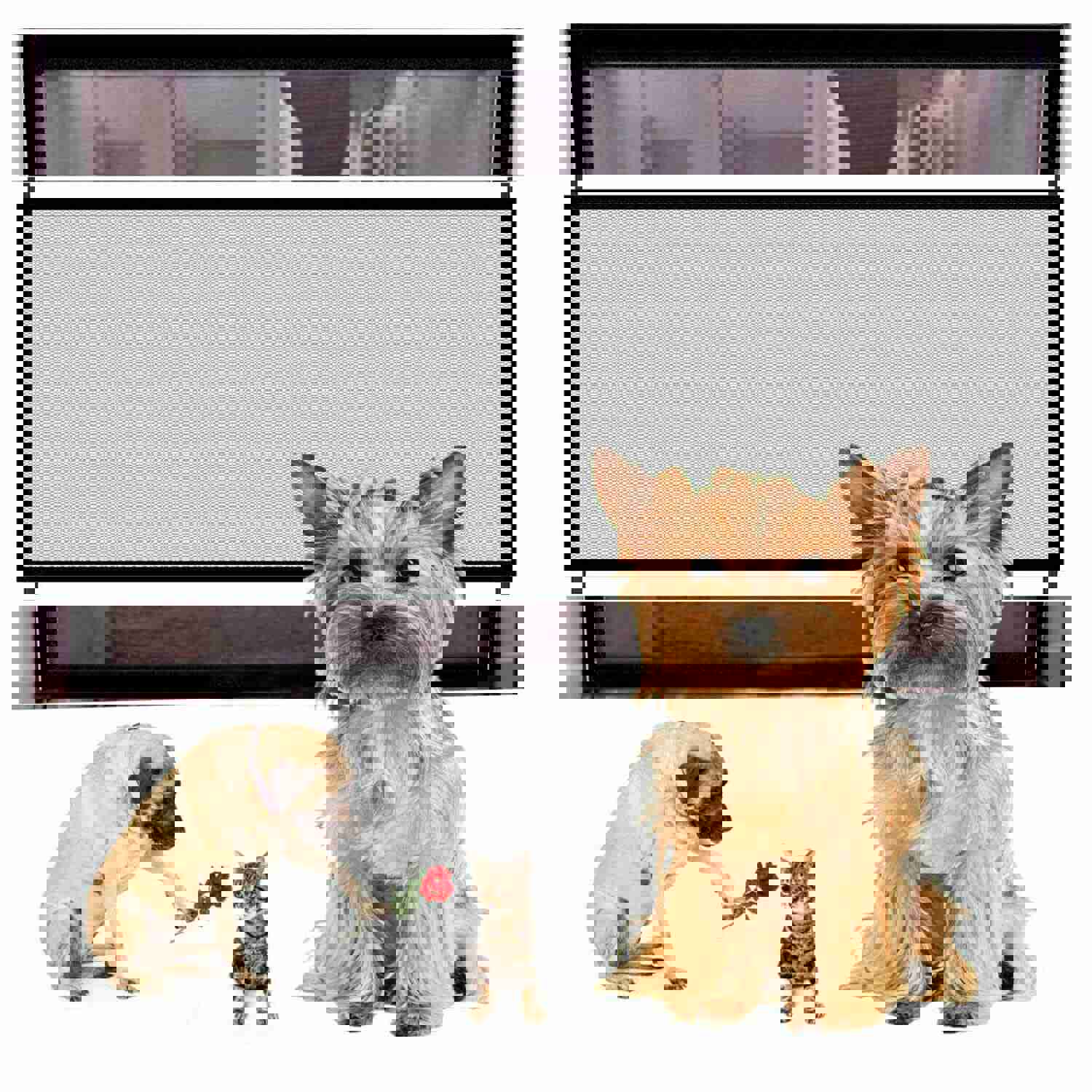 Portable Mesh Pet Safety Gate for Dogs and Cats