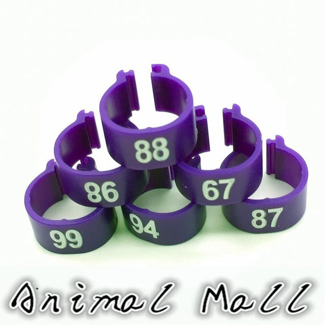 100 Pcs Digital Foot Ring for Pet Birds - 10 Colors
