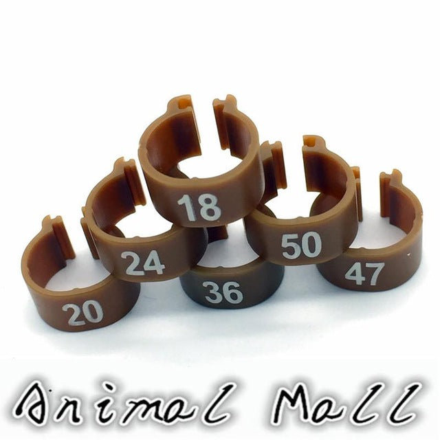 100 Pcs Digital Foot Ring for Pet Birds - 10 Colors