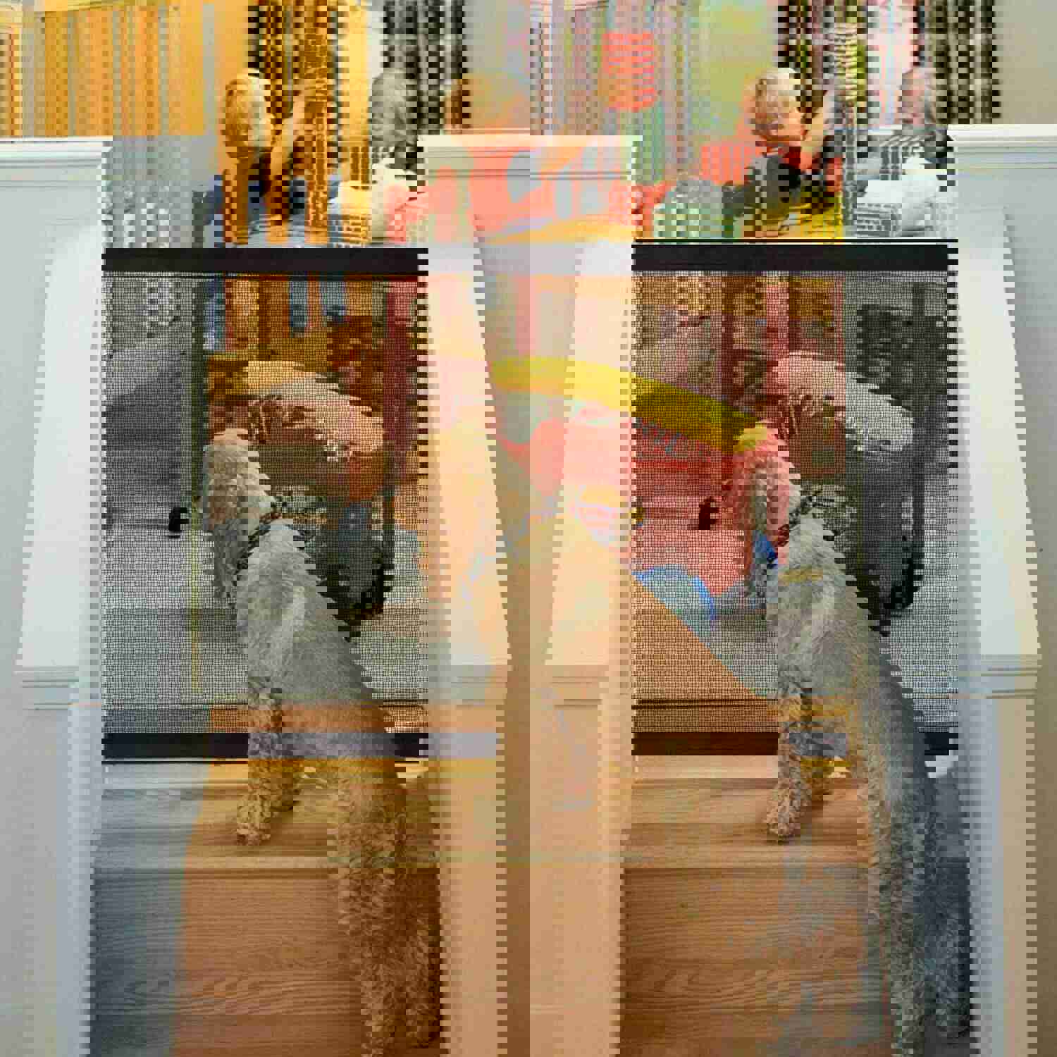 Portable Mesh Pet Safety Gate for Dogs and Cats