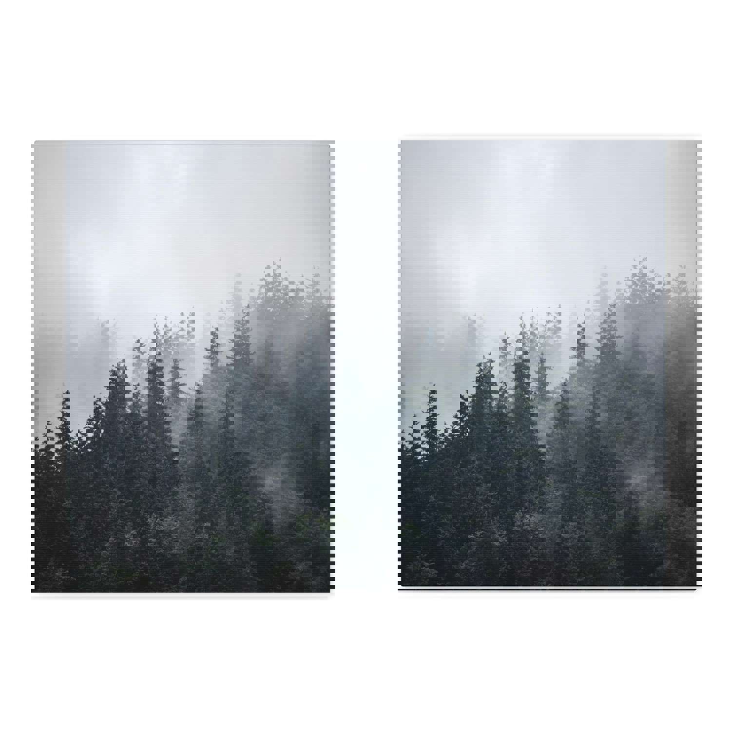 Foggy Pine Tree Green Forest Nature Wilderness Photography Canvas Wall Art for Home Decor Ready-to-Hang