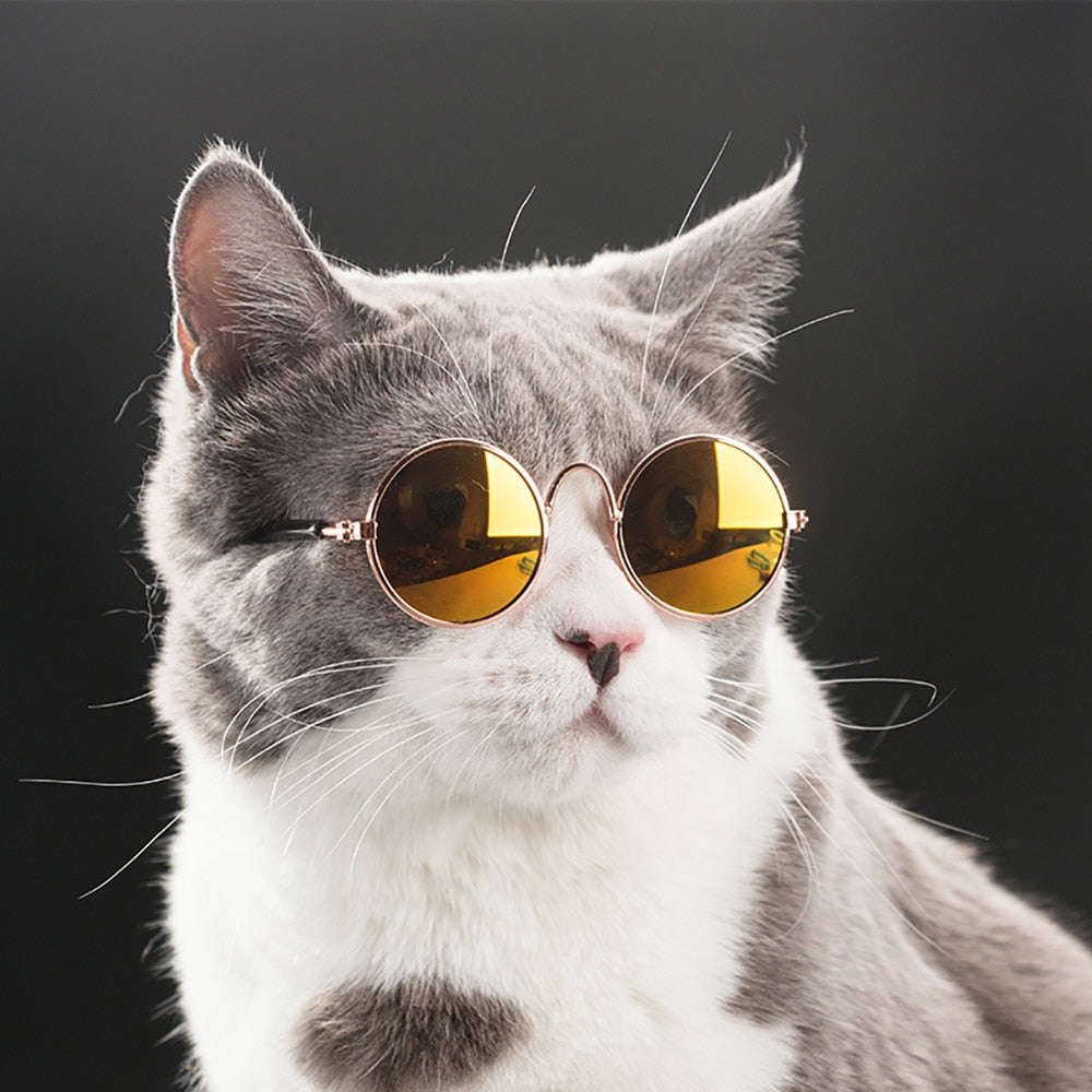 Pet Cat Dog Glasses - Kitten Accessories and Dog Sunglasses for Eye Protection