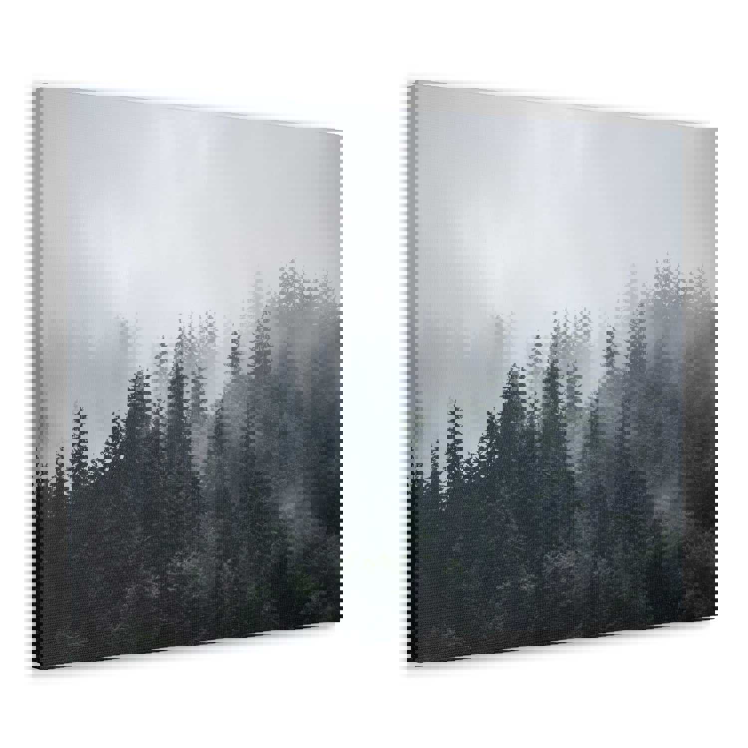 Foggy Pine Tree Green Forest Nature Wilderness Photography Canvas Wall Art for Home Decor Ready-to-Hang