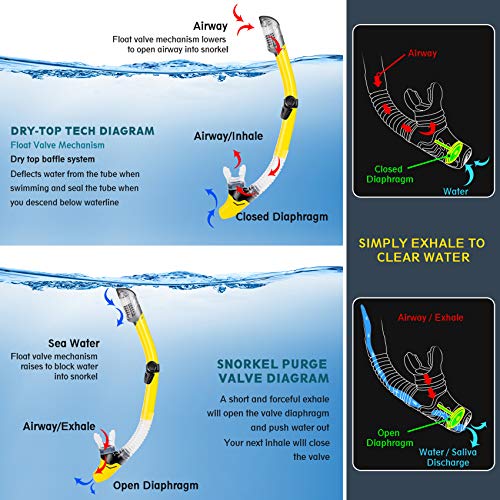 ZEEPORTE Full Face Snorkel Set - Panoramic View Diving Mask with Adjustable Fins & Dry Top Snorkel