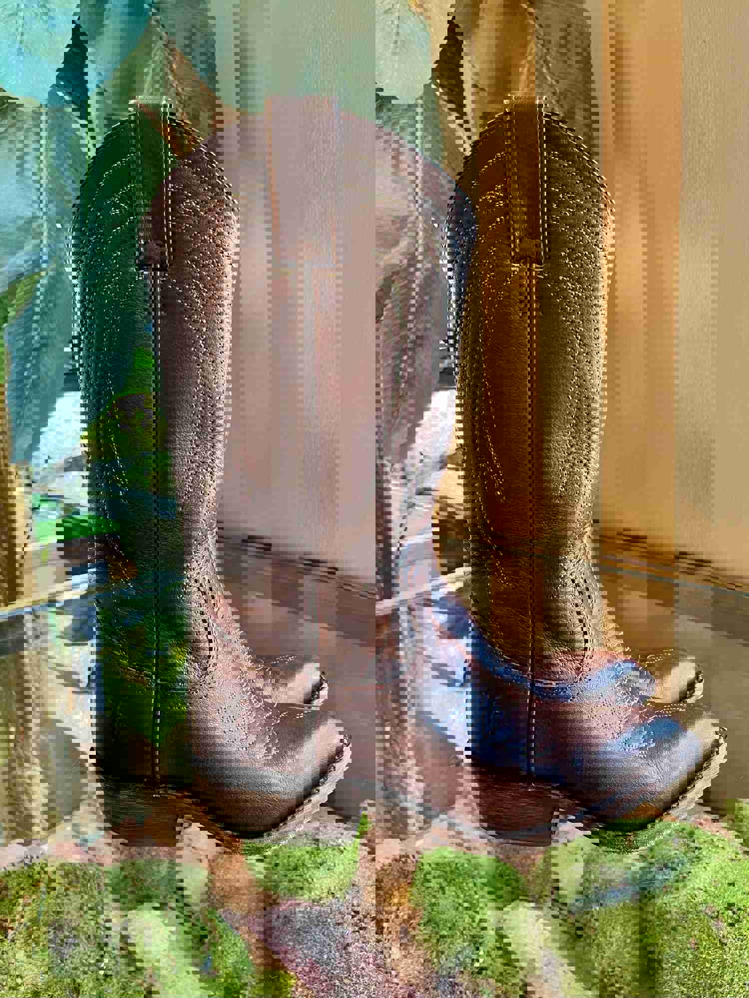 FRYE Brown Leather Billy Cowgirl Boots Size 6