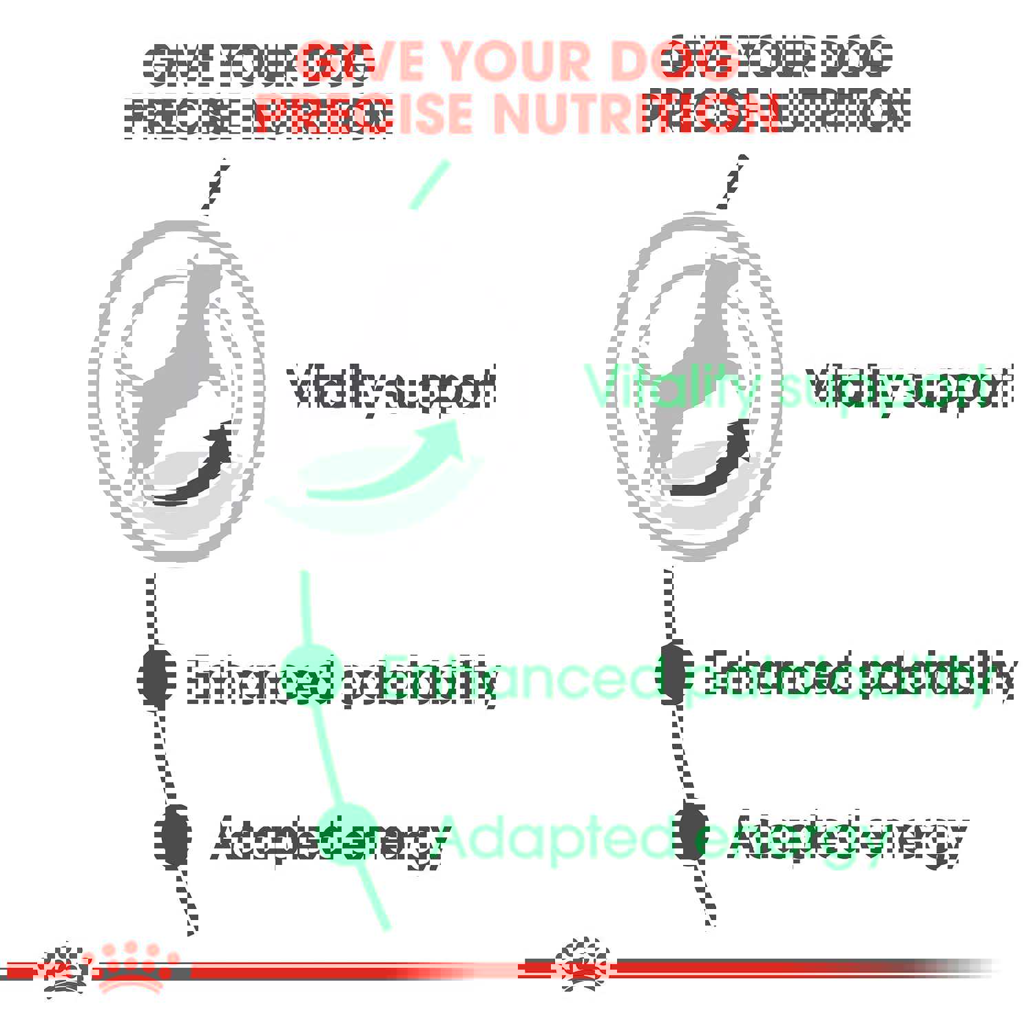 Royal Canin Small Adult 8+ Dry Dog Food for Senior Small Dogs, 13-lb Bag