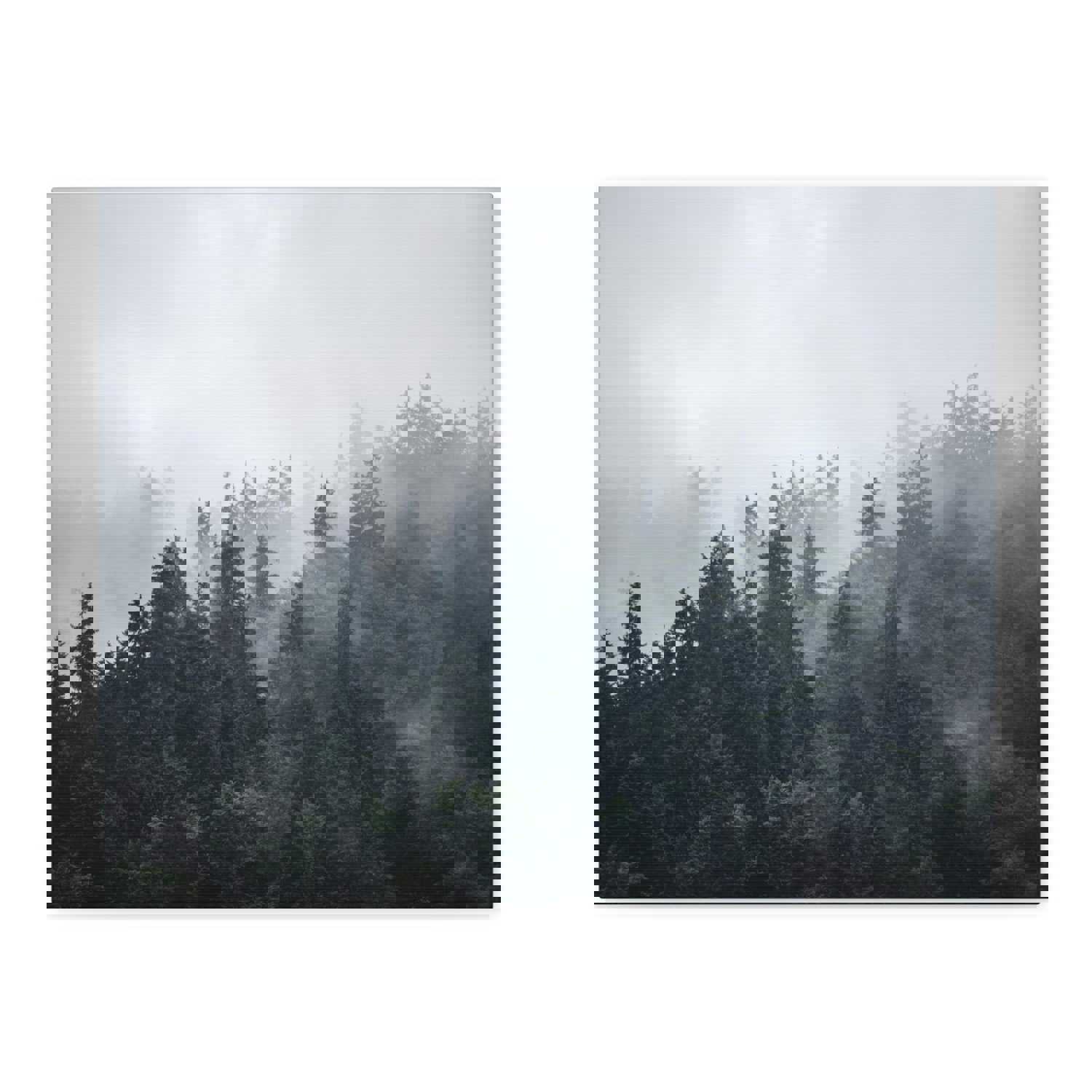 Foggy Pine Tree Green Forest Nature Wilderness Photography Canvas Wall Art for Home Decor Ready-to-Hang