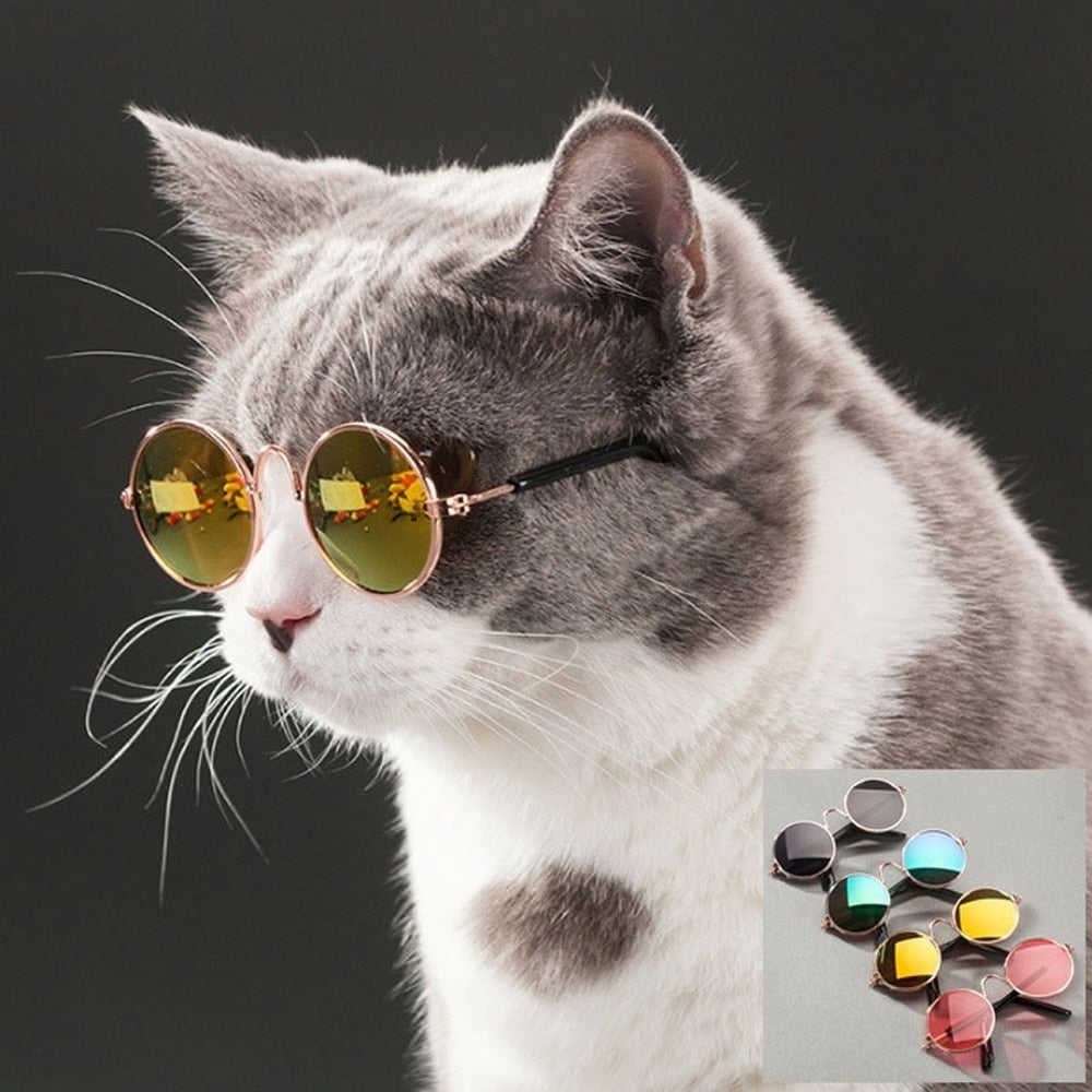 Pet Cat Dog Glasses - Kitten Accessories and Dog Sunglasses for Eye Protection