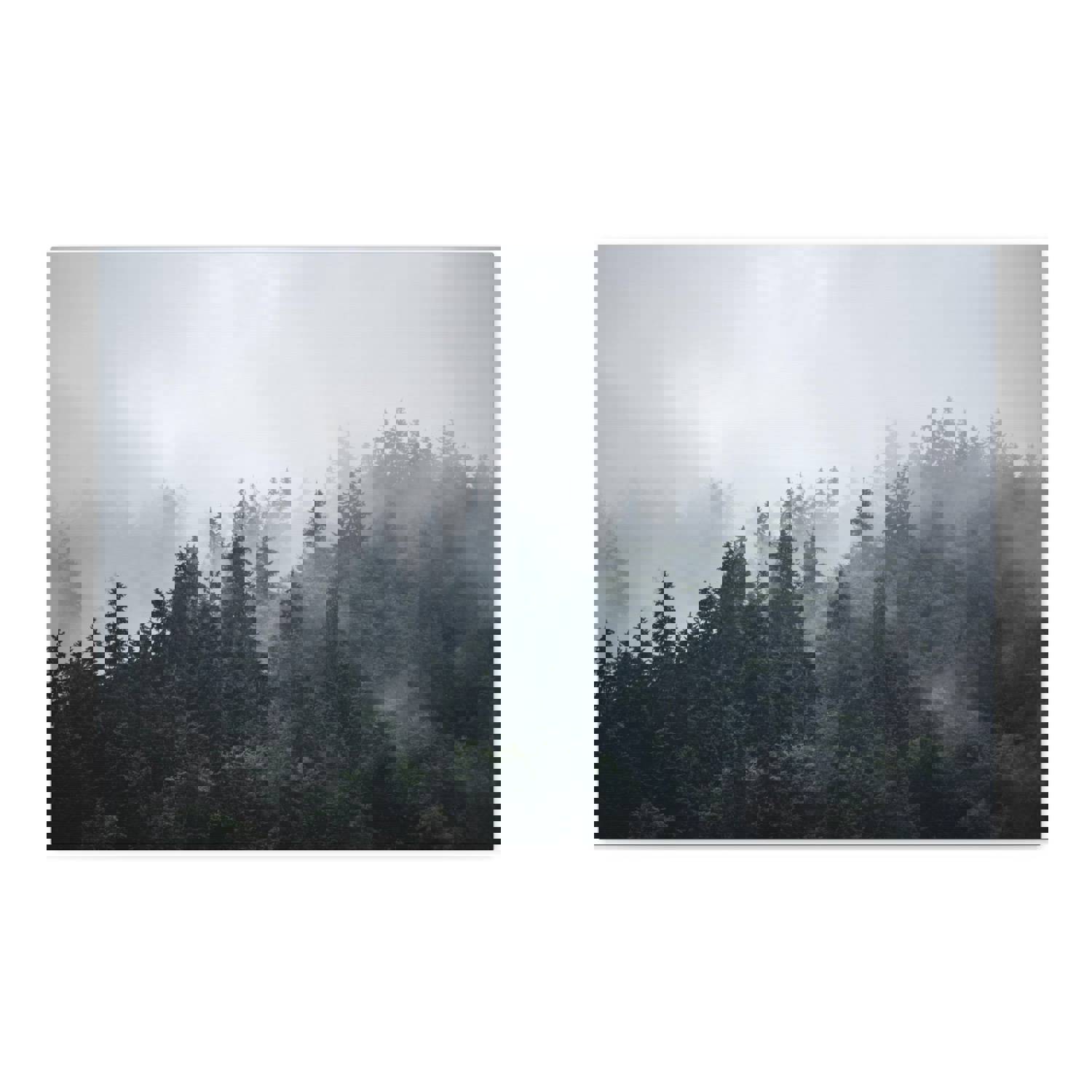 Foggy Pine Tree Green Forest Nature Wilderness Photography Canvas Wall Art for Home Decor Ready-to-Hang