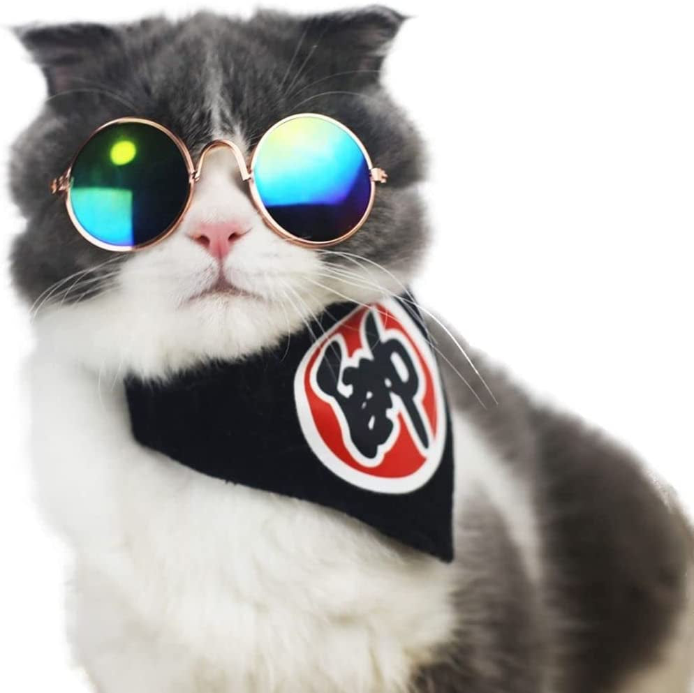 Round Pet Cat Glasses Lovely Sunglasses for Small to Medium Pets with Punk Style (Pink)