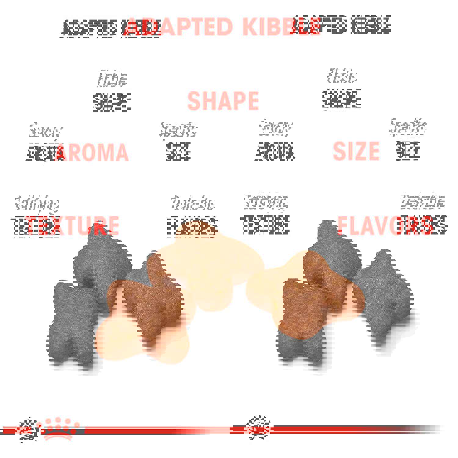 Royal Canin Small Adult 8+ Dry Dog Food for Senior Small Dogs, 13-lb Bag