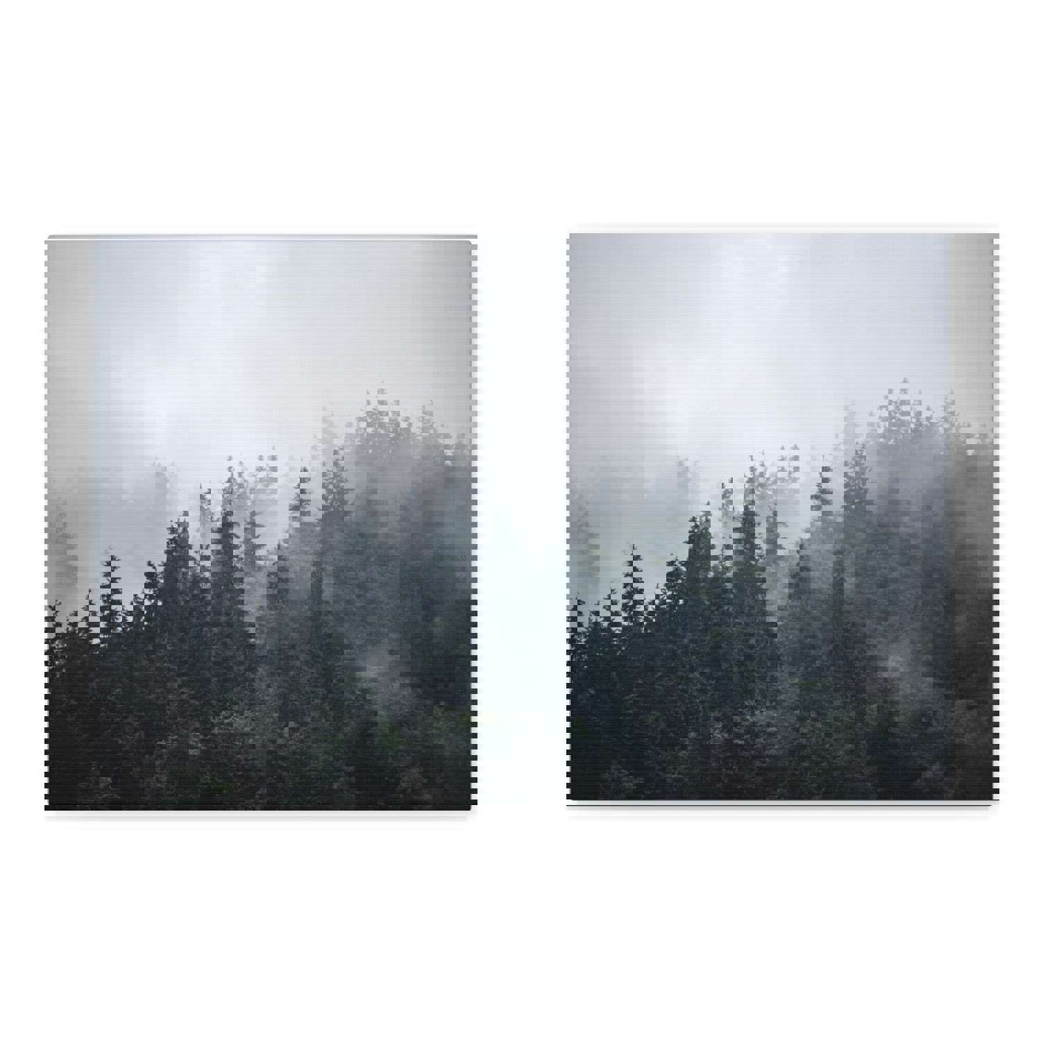 Foggy Pine Tree Green Forest Nature Wilderness Photography Canvas Wall Art for Home Decor Ready-to-Hang