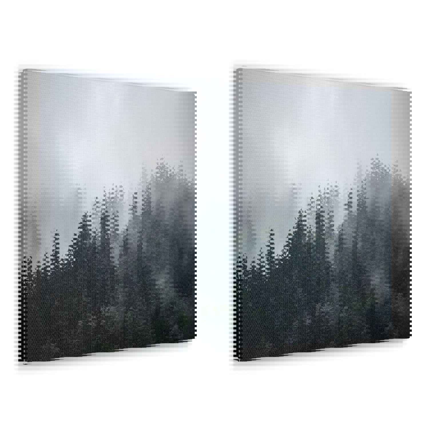 Foggy Pine Tree Green Forest Nature Wilderness Photography Canvas Wall Art for Home Decor Ready-to-Hang