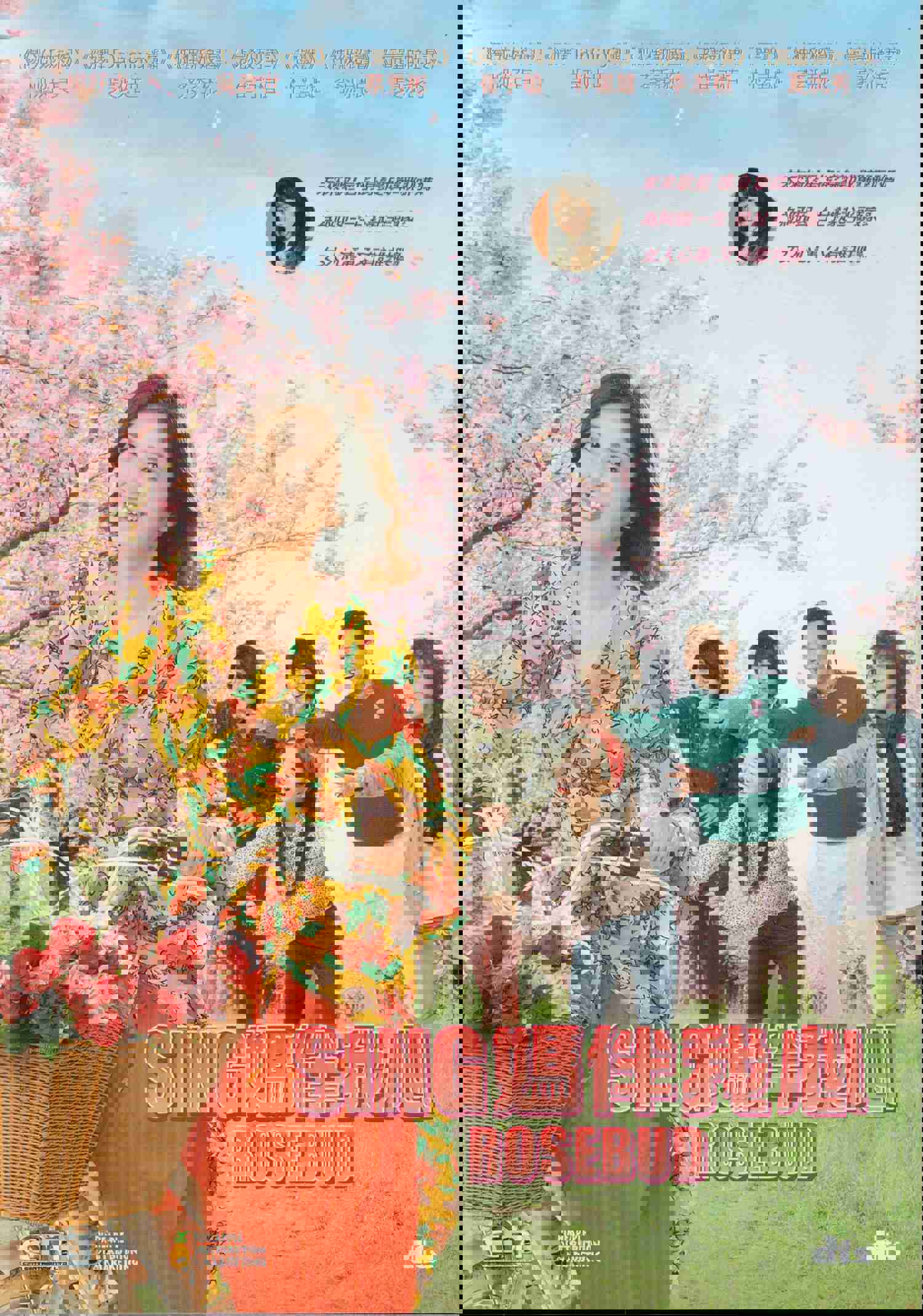 Rosebud Korean Movie - Film DVD (NTSC - All Region)