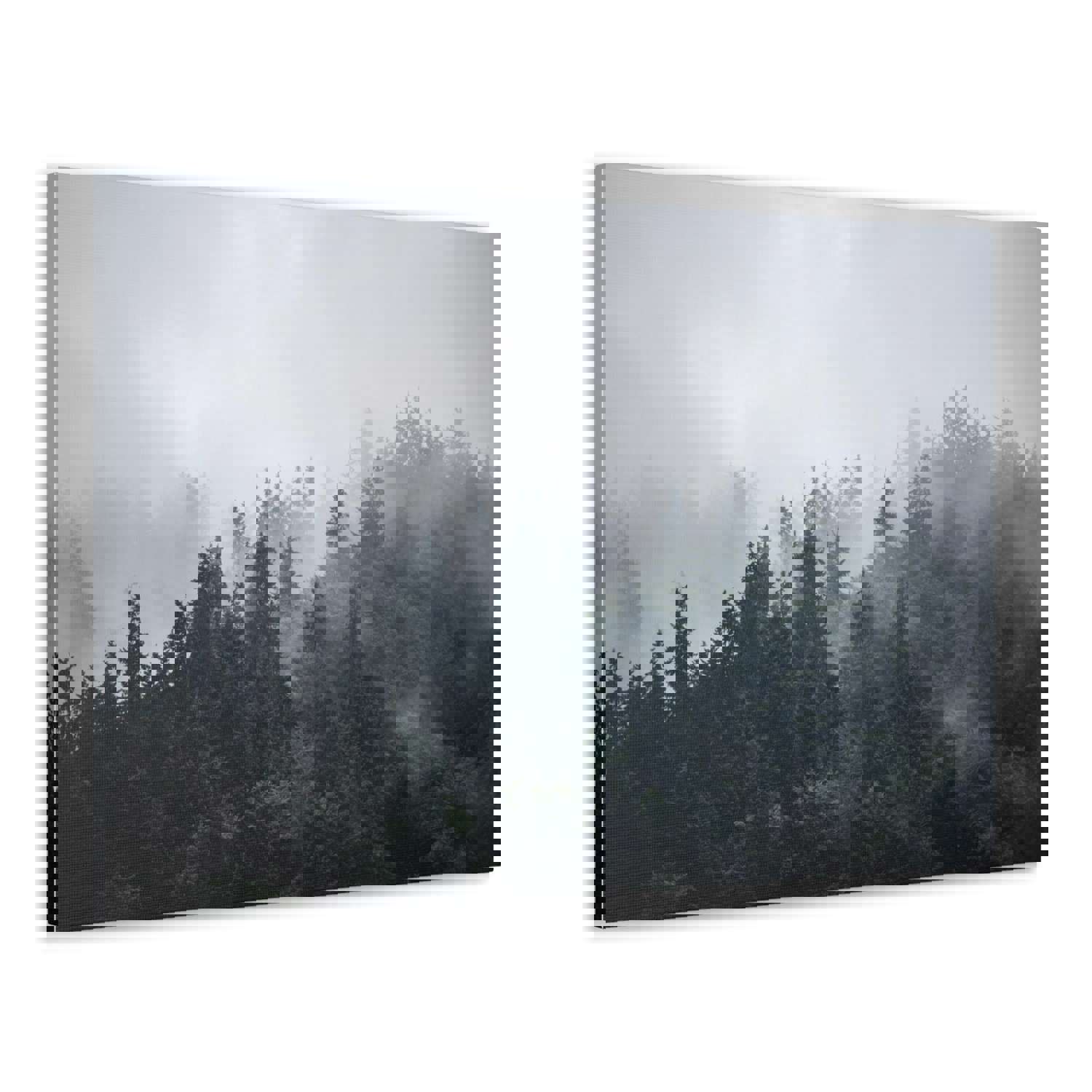 Foggy Pine Tree Green Forest Nature Wilderness Photography Canvas Wall Art for Home Decor Ready-to-Hang