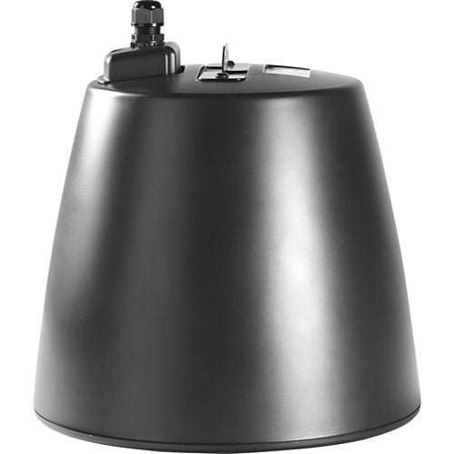 Electro-Voice EVID-P6.2B 6.5-Inch 2-Way Indoor/Outdoor Pendant Speaker - Black