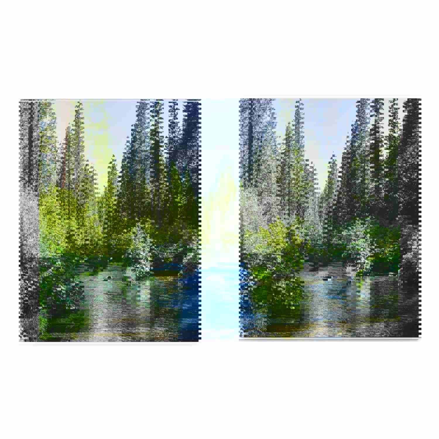 River Through The Green Forest Nature Wilderness Photography Canvas Wall Art