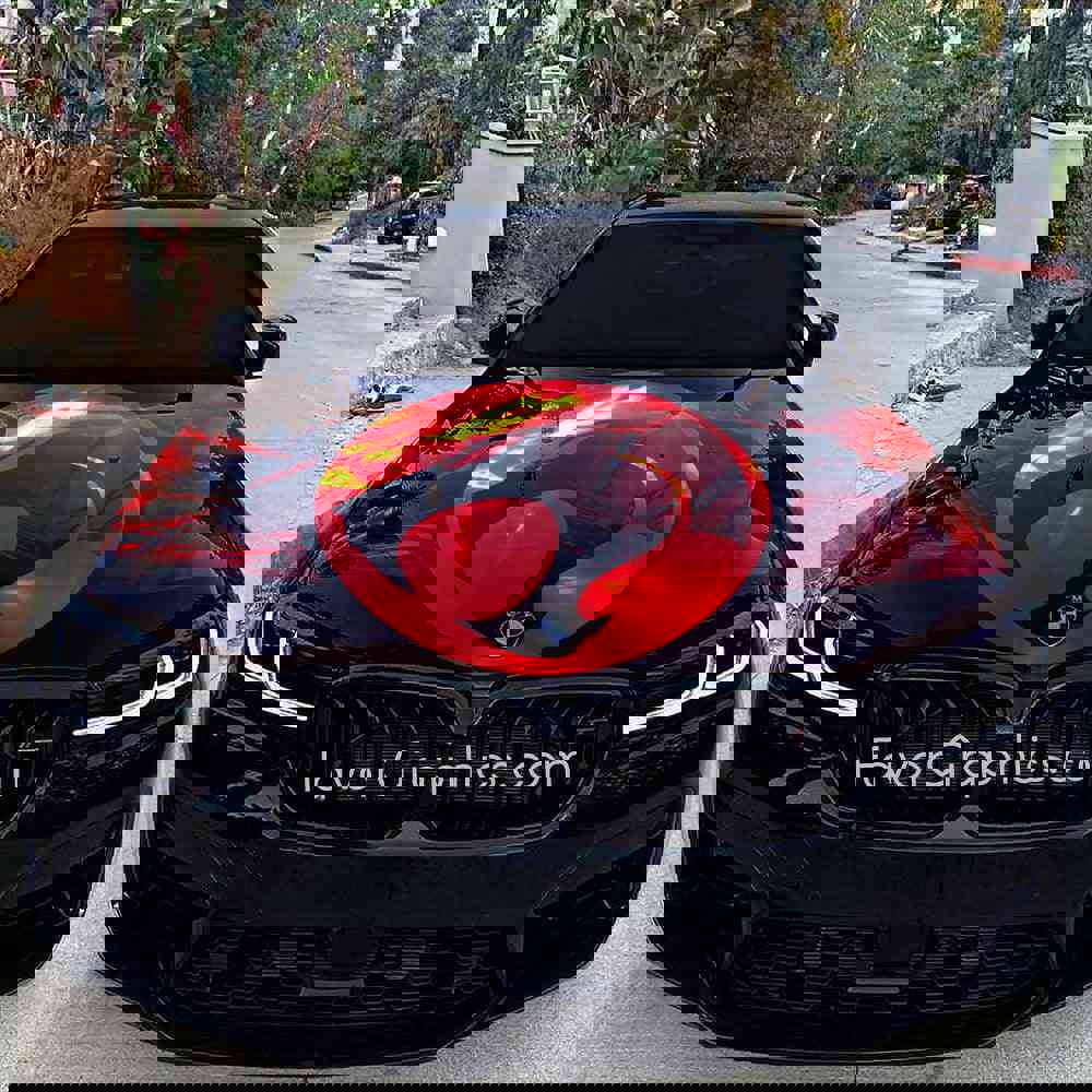 ThunderCats Itasha Car Vinyl Hood Wrap Decal Sticker