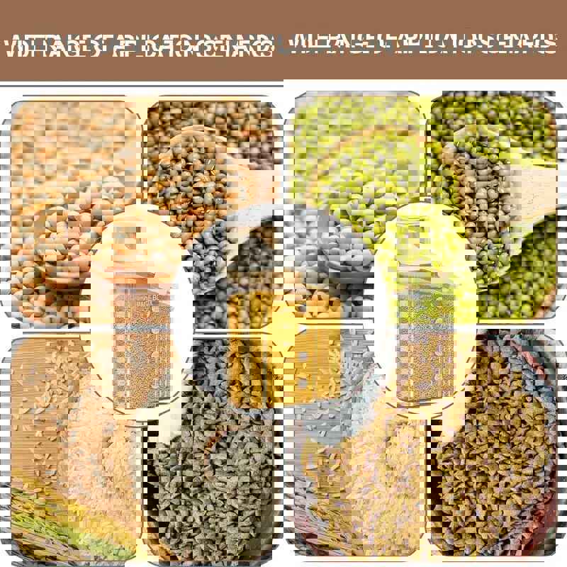 Kitchen Food Storage Container - Sealed Crisper for Grains, Rice, and More