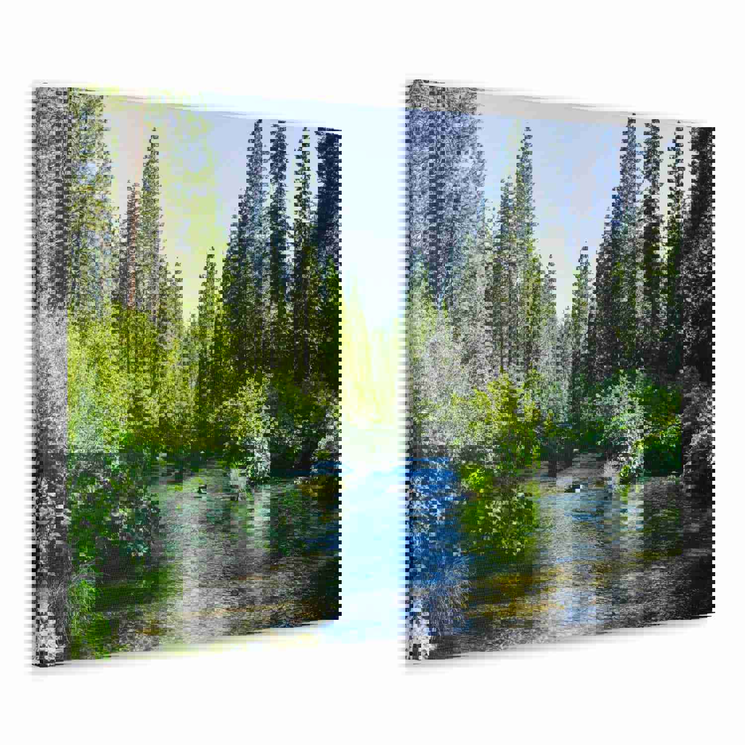 River Through The Green Forest Nature Wilderness Photography Canvas Wall Art
