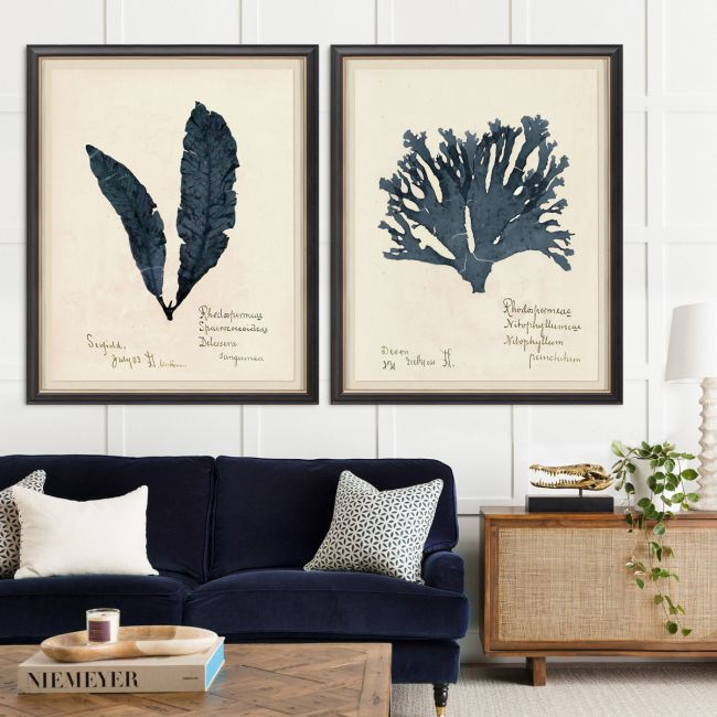 Capistrano Seaweed Art I in Midnight Blue by Natural Curiosities