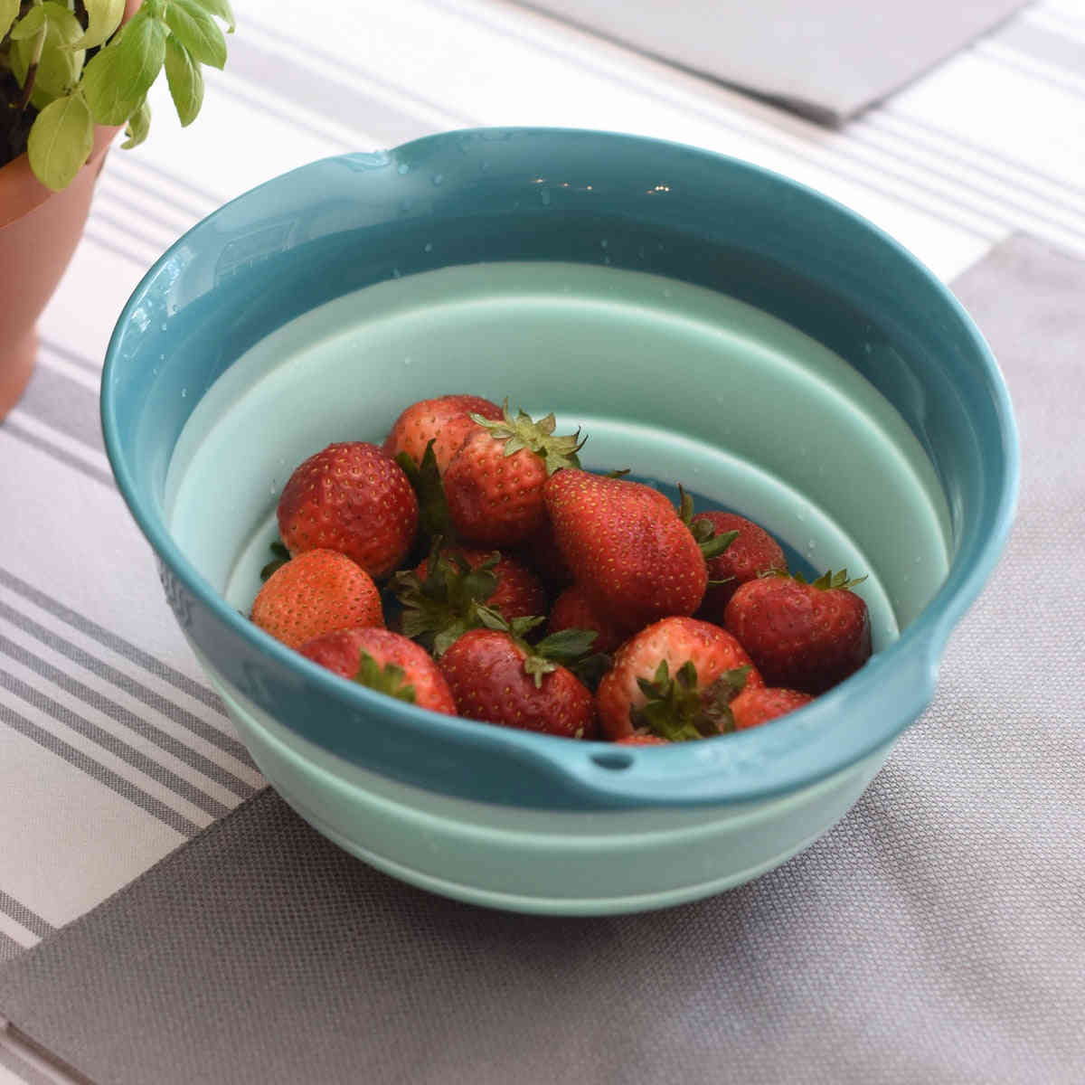 Collapsible Mixing Bowl for Camping, Travel, and Food Storage