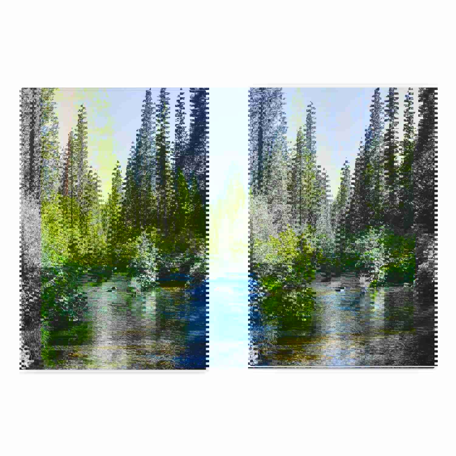 River Through The Green Forest Nature Wilderness Photography Canvas Wall Art