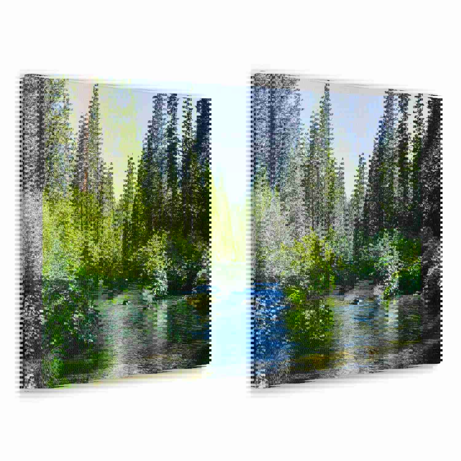 River Through The Green Forest Nature Wilderness Photography Canvas Wall Art