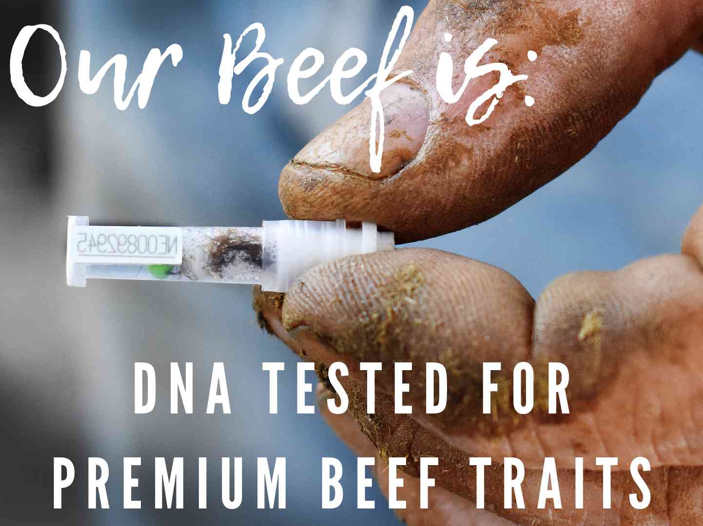 The Freezer Filler - Dry Aged Nebraska Beef Bundle