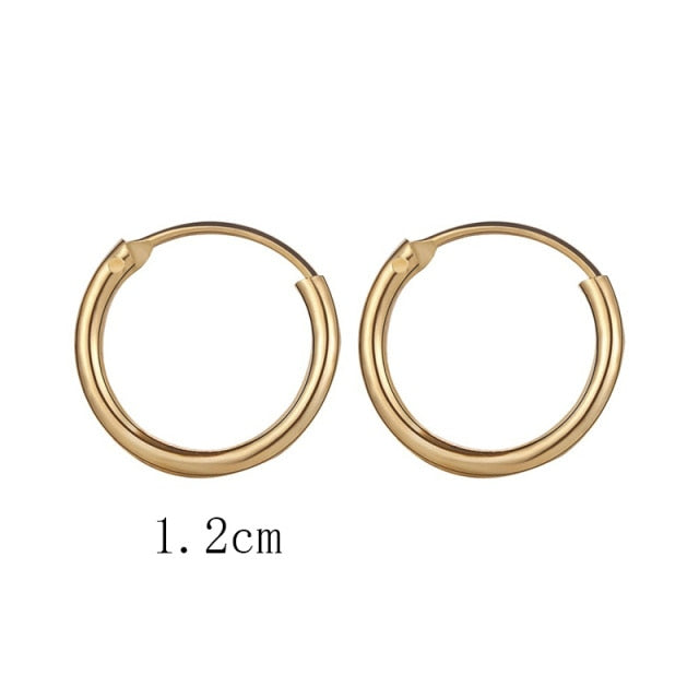 Golden Big Hoop Earrings - Korean Geometry Metal Drop Earrings for Women