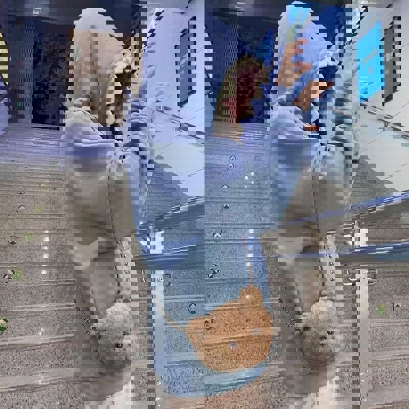 Funny Animal Shark Hoodie - Unisex Fleece Pullover