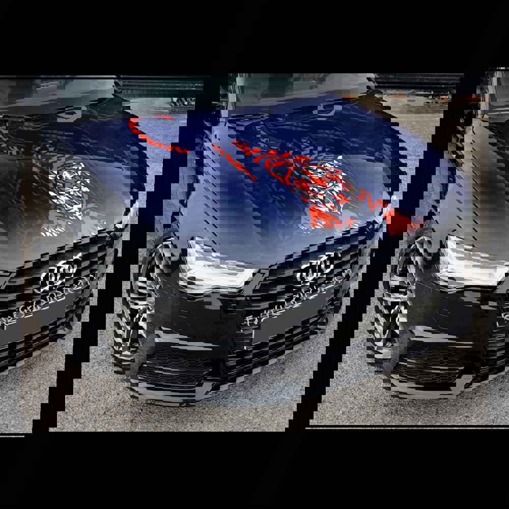 Detroit Tigers Itasha Car Vinyl Hood Wrap Decal Sticker