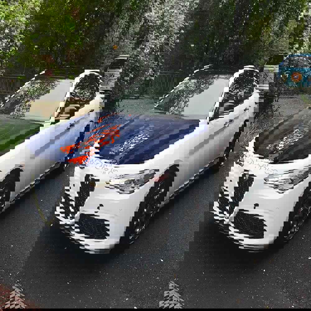 Detroit Tigers Itasha Car Vinyl Hood Wrap Decal Sticker