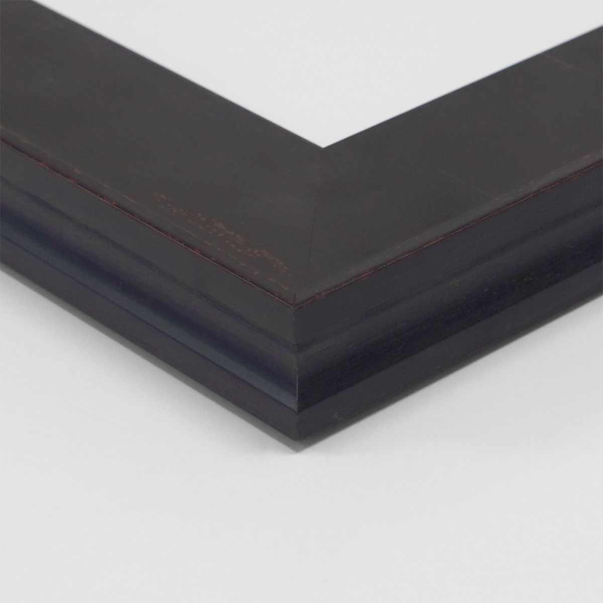 Capistrano Seaweed Art I in Midnight Blue by Natural Curiosities