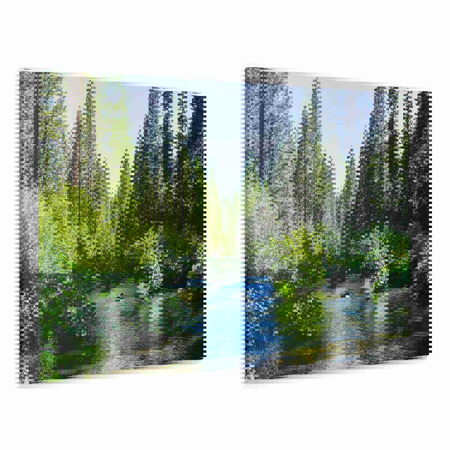 River Through The Green Forest Nature Wilderness Photography Canvas Wall Art