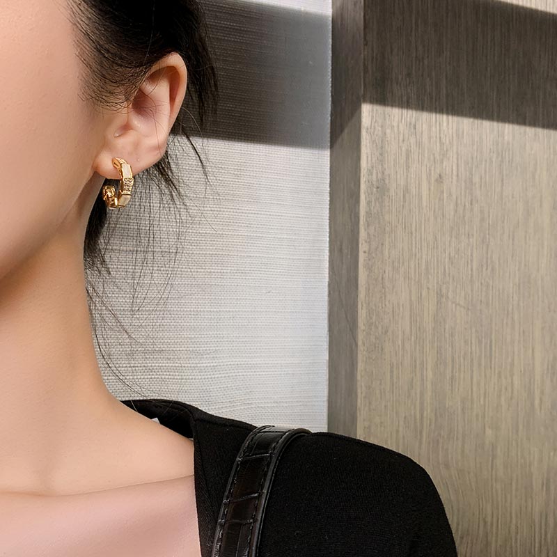 Korea Design Exquisite Zircon Opal Dionysus Half Circle Earrings for Women