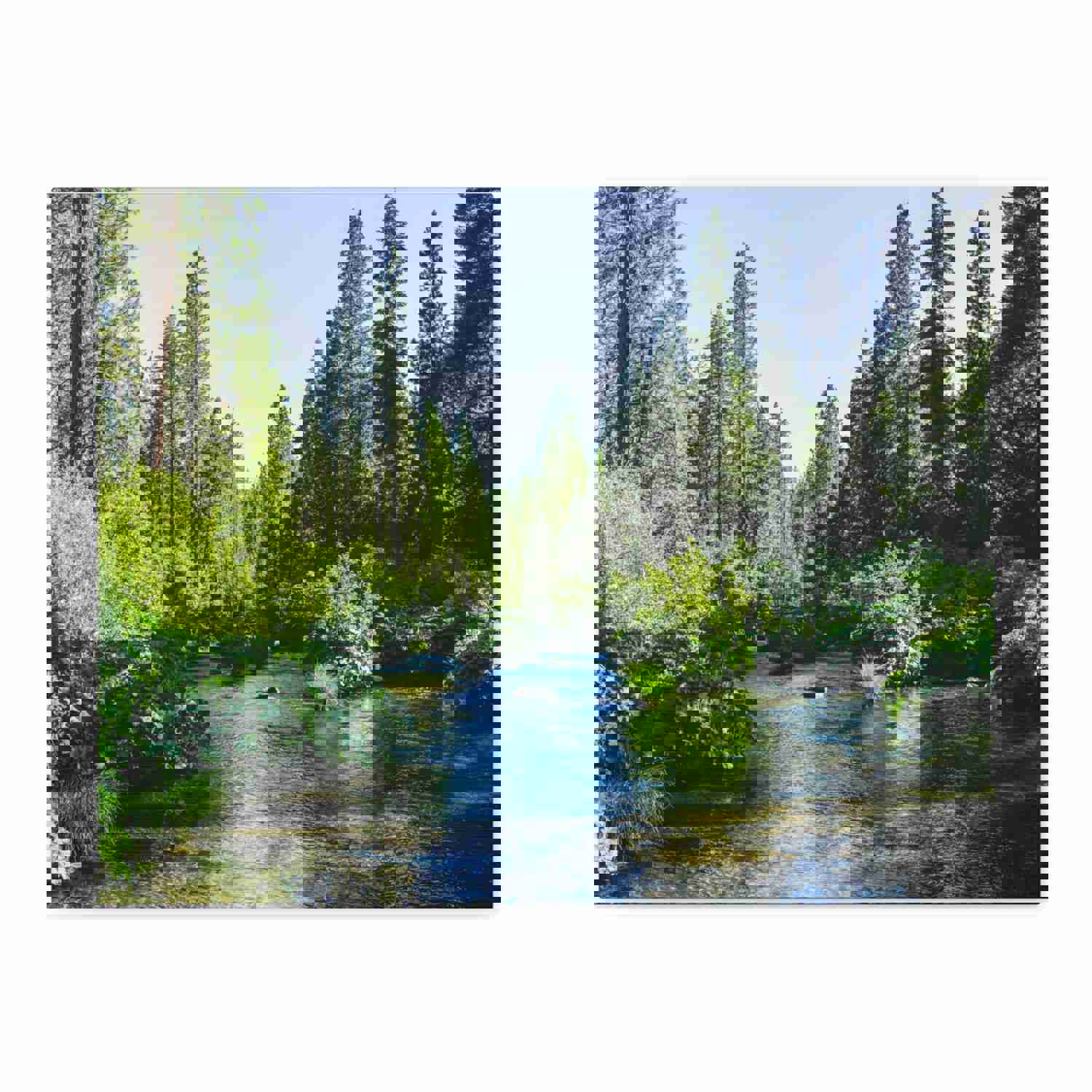 River Through The Green Forest Nature Wilderness Photography Canvas Wall Art