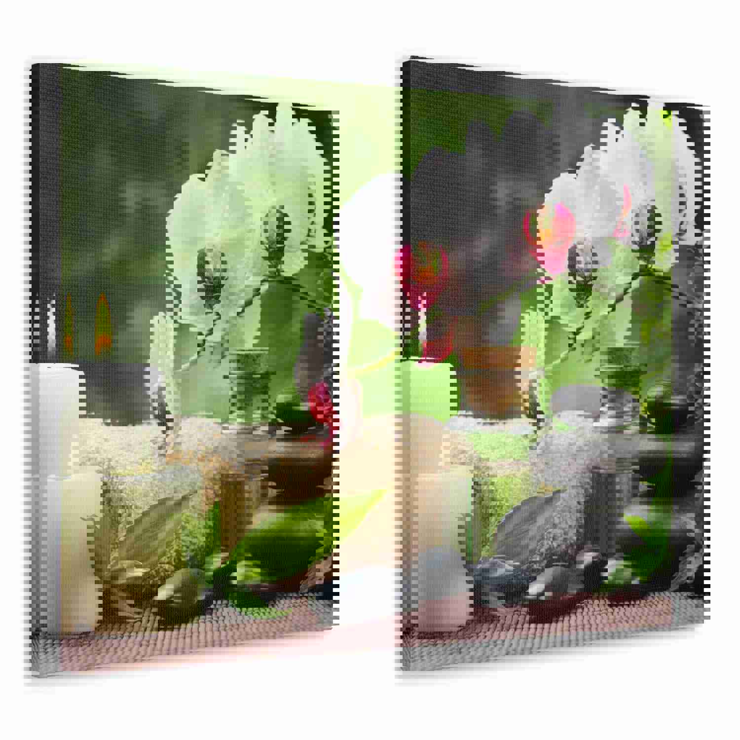 Orchid Flower and Stone Forest Floral Nature Photography Canvas Wall Art for Home Decor