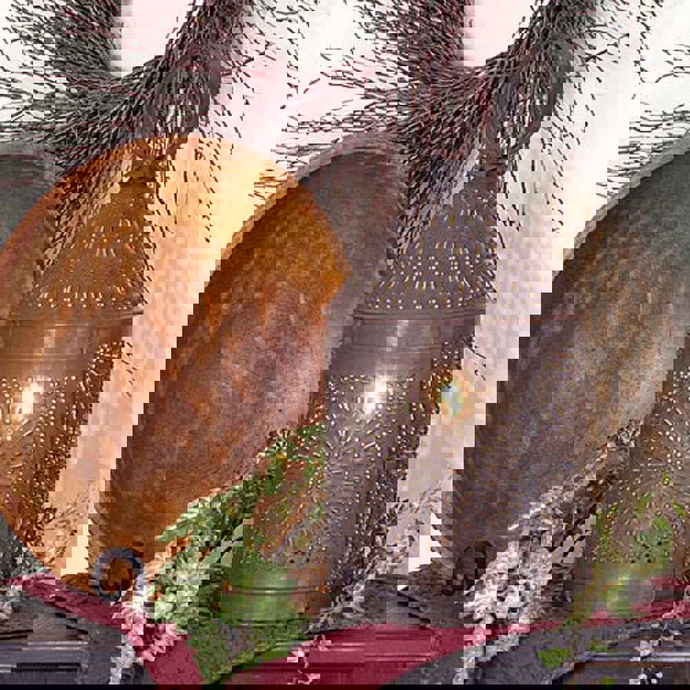 15 Fireside Colonial Lantern with Chisel Pattern in Kettle Black Tin Finish