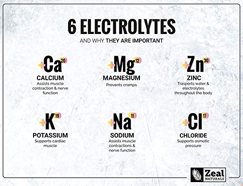 Zeal Naturals Electrolyte Powder Recovery Drink - Lemon Berry (90 Servings)