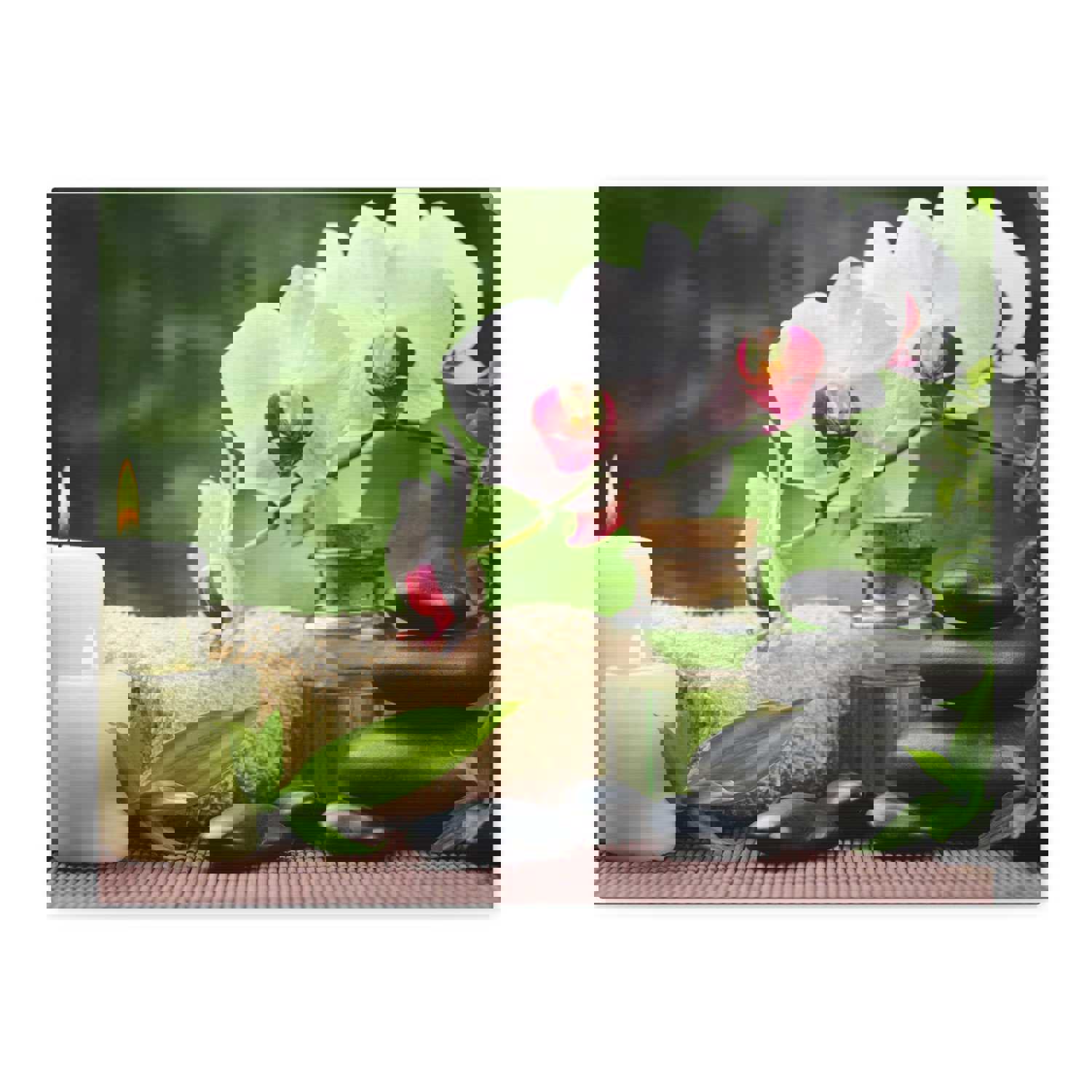 Orchid Flower and Stone Forest Floral Nature Photography Canvas Wall Art for Home Decor