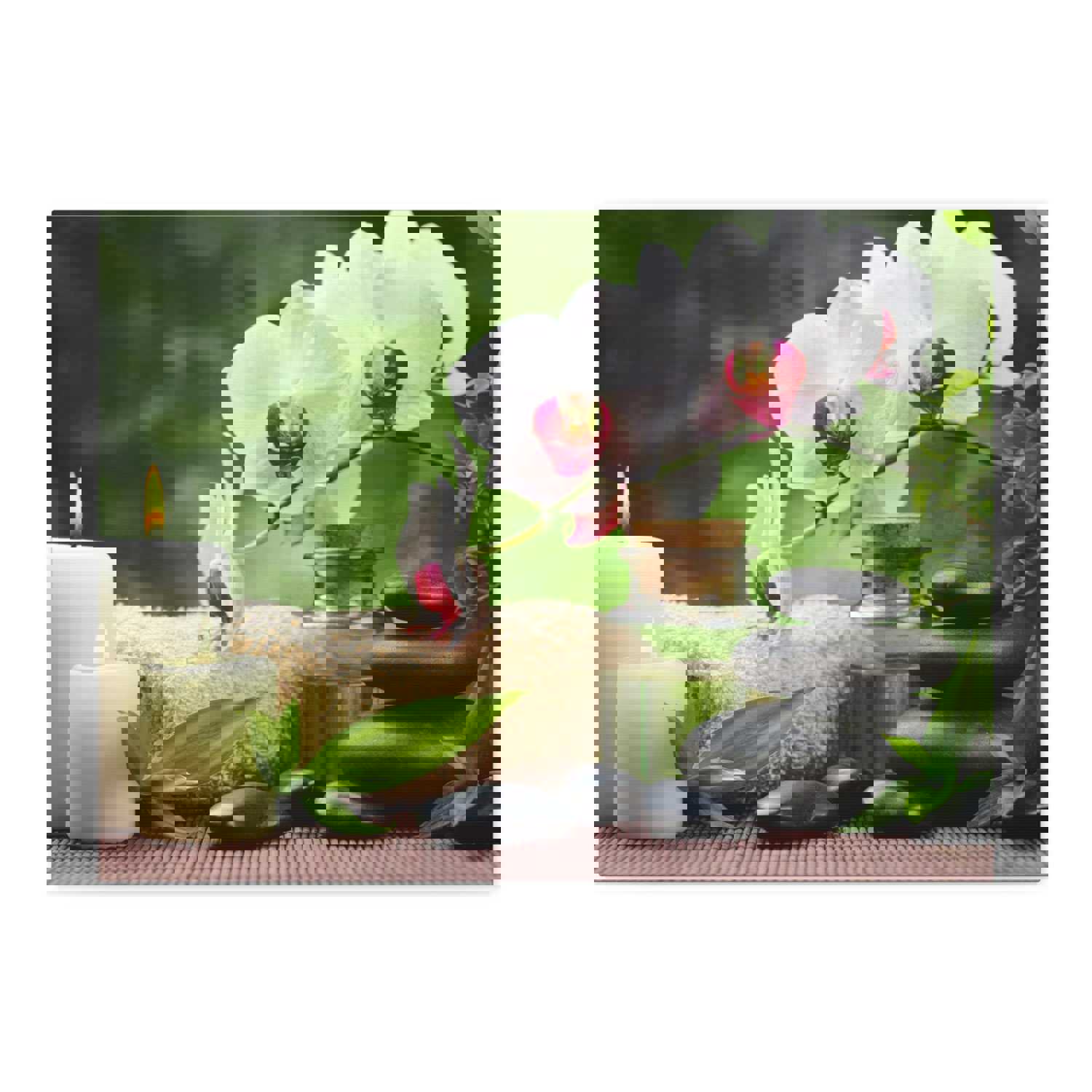 Orchid Flower and Stone Forest Floral Nature Photography Canvas Wall Art for Home Decor