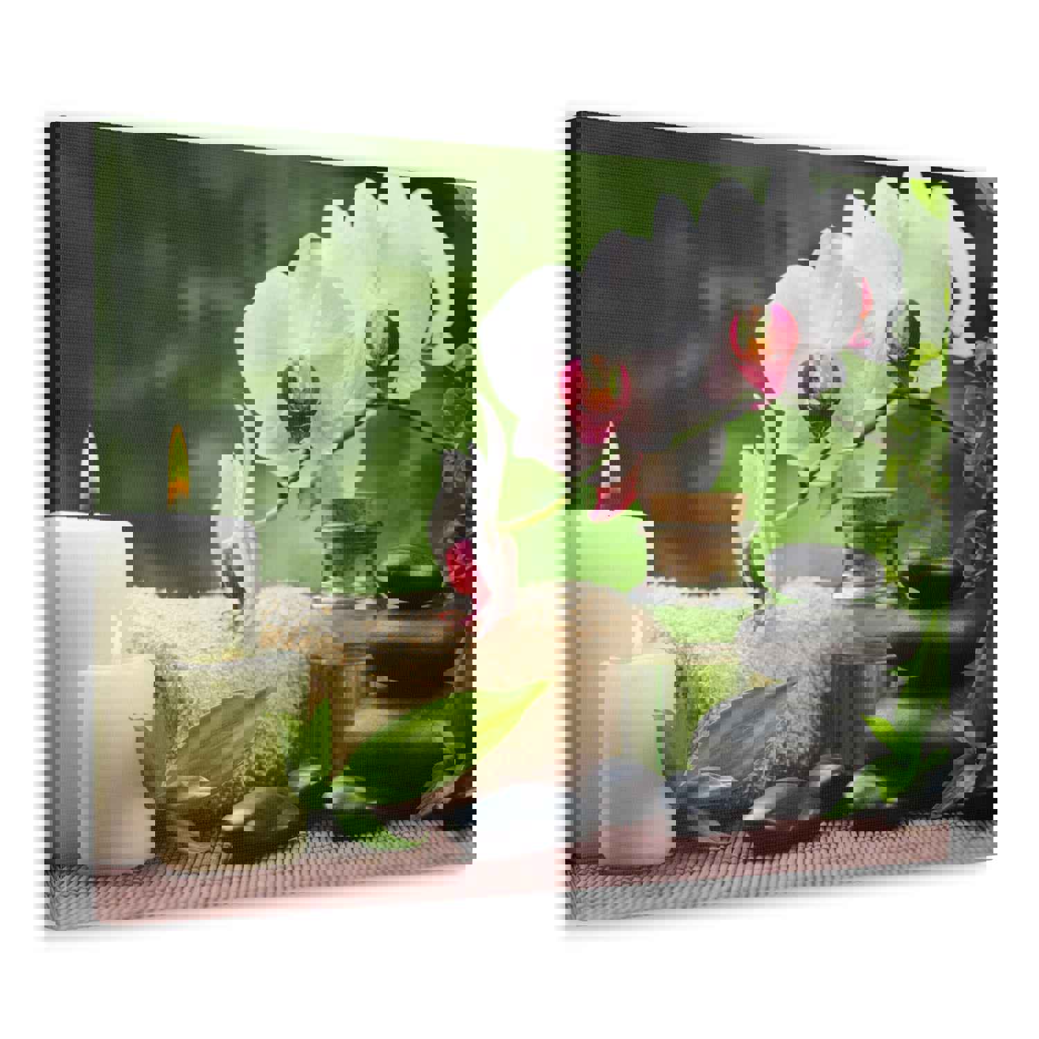 Orchid Flower and Stone Forest Floral Nature Photography Canvas Wall Art for Home Decor