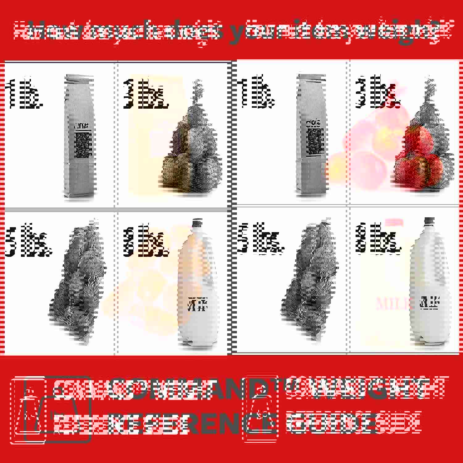 Command Large Frame Hanger, 5 lb Capacity - Damage-Free Hanging Solution